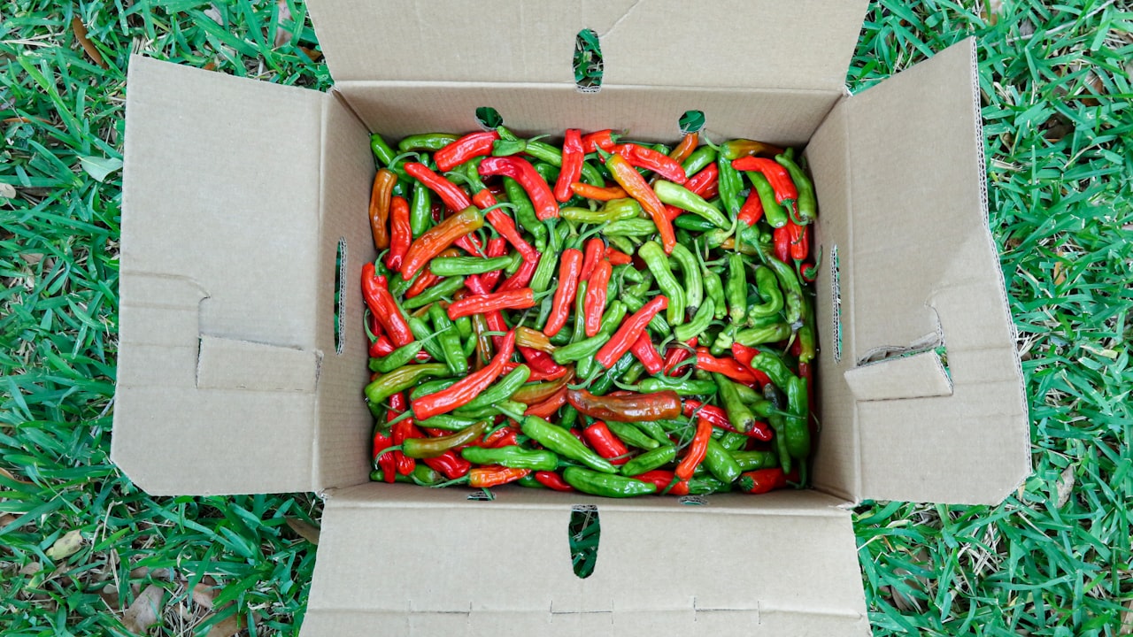 Comparison Between semi-Automatic and Fully Automatic Rigid box making machines