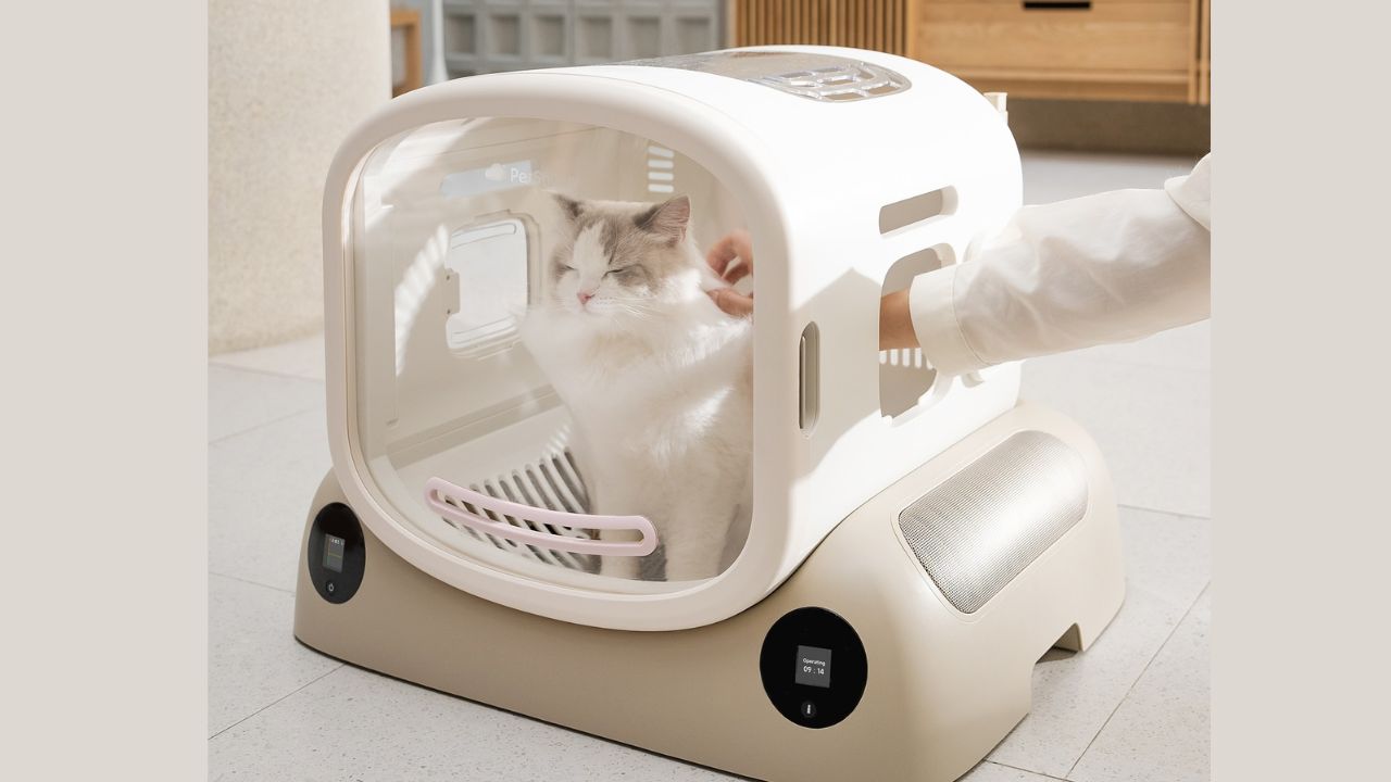 Work, Life, and Pets: How a Cat Dryer Box Saves Time and Hassle
